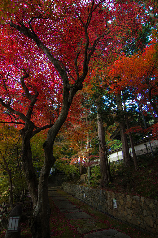 これが亀岡の苗秀寺なのです。_f0303870_2065242.jpg