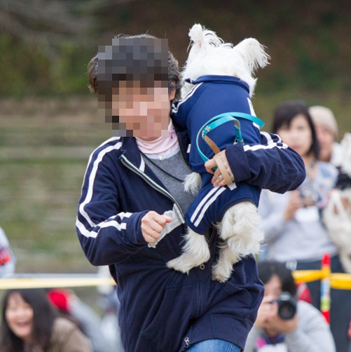 b0242873_11262573.png