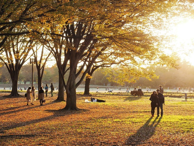 夕暮れの公園 Lucent 日々の光景 ２
