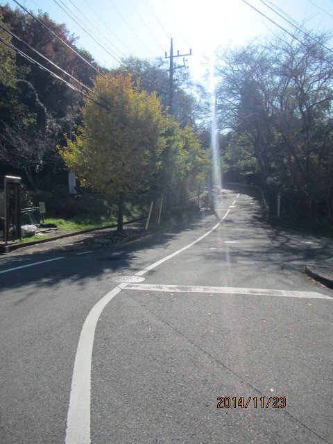 f0350477_21551271.jpg