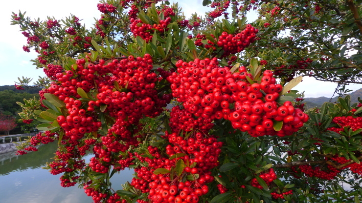 c0212083_20121887.jpg
