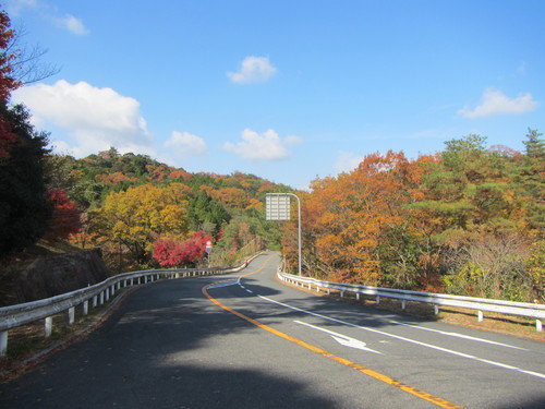 a0251786_20225.jpg