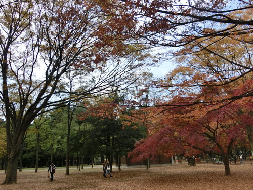 a0319693_16393349.jpg