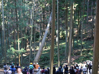 山林見学_e0145995_731412.jpg