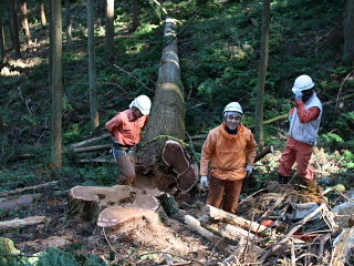 山林見学_e0145995_7332431.jpg