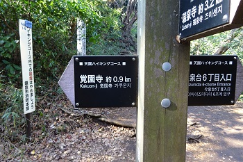 f0230197_23342840.jpg