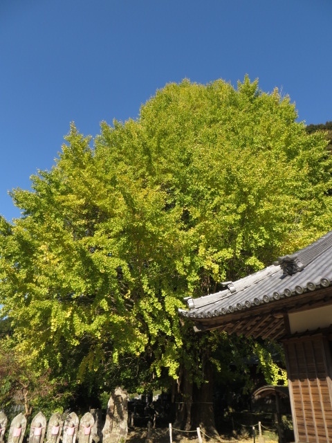 a0193698_08152763.jpg