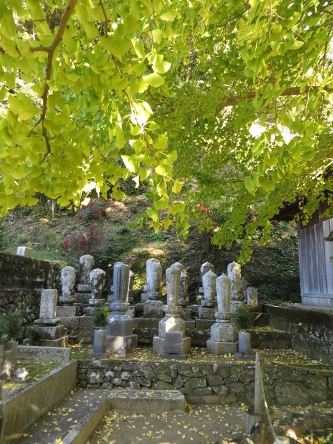 a0193698_08161297.jpg