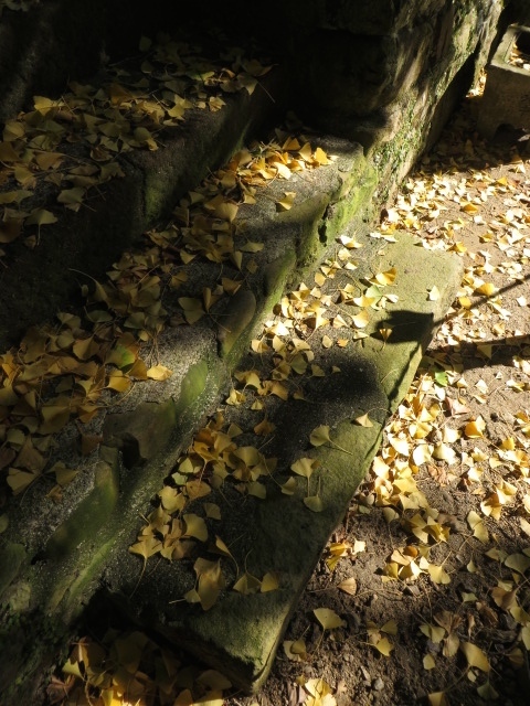 a0193698_08165639.jpg