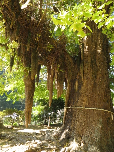 a0193698_08182348.jpg