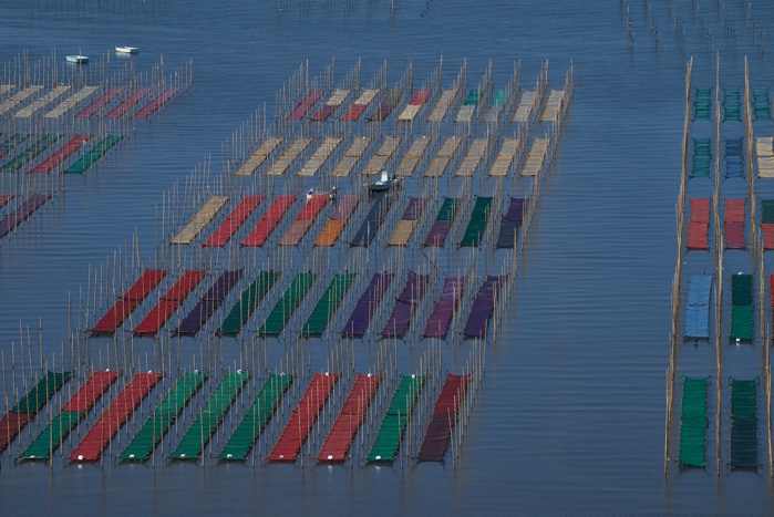 海苔畑-海上の機織り_e0135098_1252737.jpg