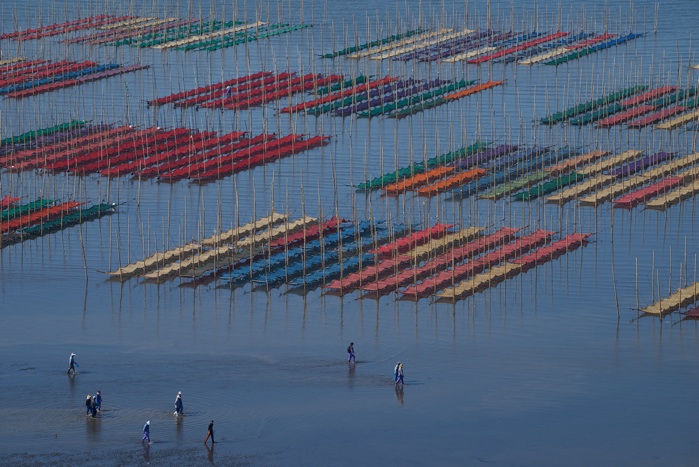 海苔畑-海上の機織り_e0135098_126168.jpg