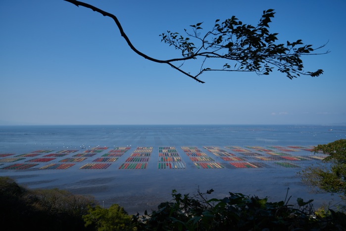 海苔畑-海上の機織り_e0135098_1264653.jpg
