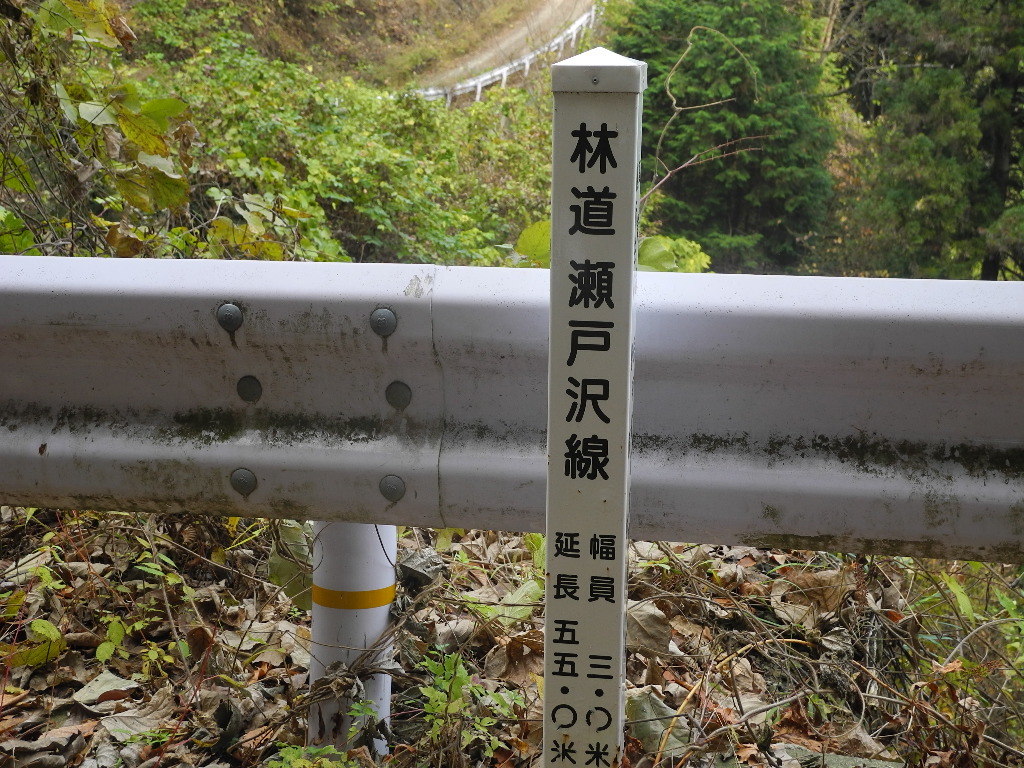 a0158802_22502149.jpg