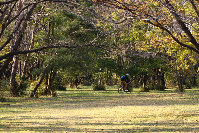 d0248502_7284016.jpg