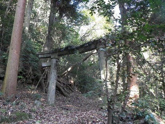 f0187402_2243373.jpg