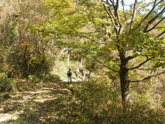 f0187402_22462363.jpg
