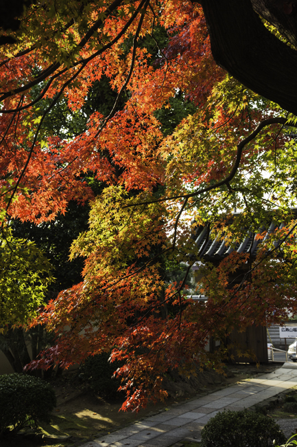 広寿山福聚寺_c0227703_21225369.jpg