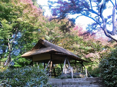 六義園の紅葉（六義園⑧　江戸の庭園）_c0187004_1034364.jpg