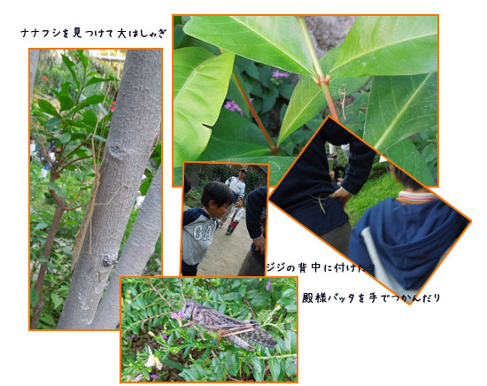 孫のお泊り_c0051105_1038251.jpg