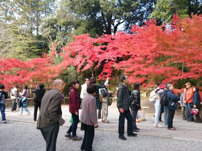 e0252905_813689.jpg