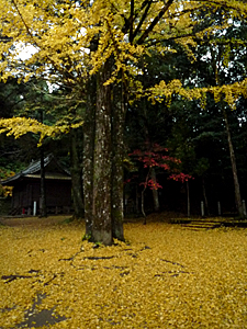 b0014607_18331628.jpg