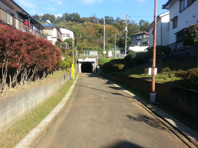 11/16 羽村山口軽便鉄道廃線跡ウォーキングVol.2_b0042308_23422523.jpg
