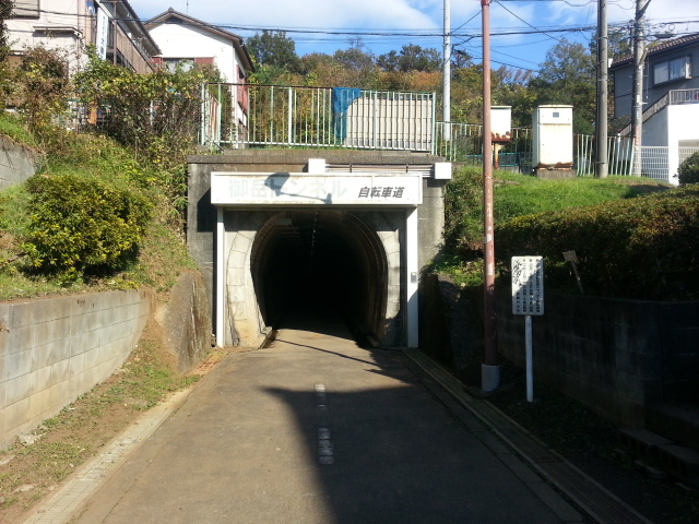 11/16 羽村山口軽便鉄道廃線跡ウォーキングVol.2_b0042308_23423237.jpg