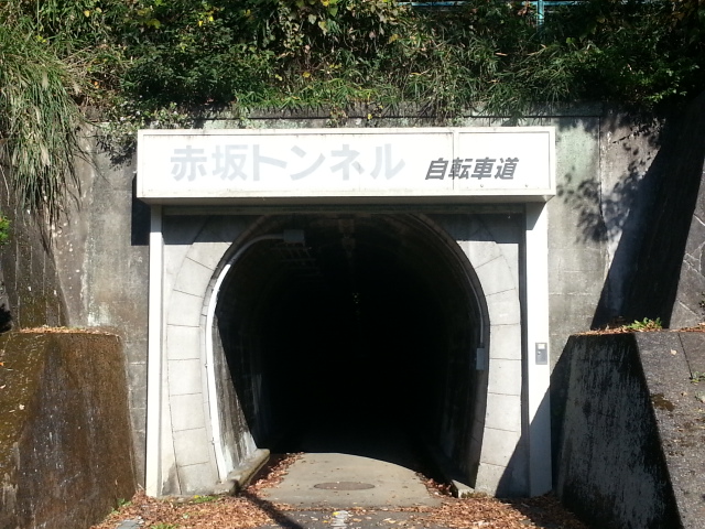 11/16 羽村山口軽便鉄道廃線跡ウォーキングVol.2_b0042308_23434011.jpg