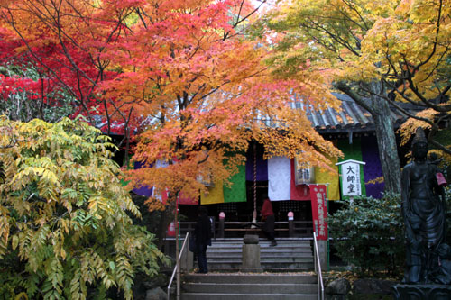 14紅葉めぐり 39 今熊野観音寺_e0048413_20292373.jpg