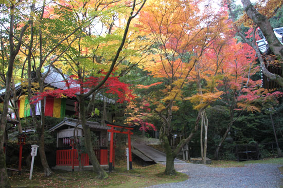 14紅葉めぐり 39 今熊野観音寺_e0048413_20294632.jpg