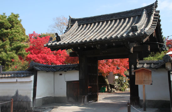 14紅葉めぐり 40 養源院 _e0048413_2195177.jpg