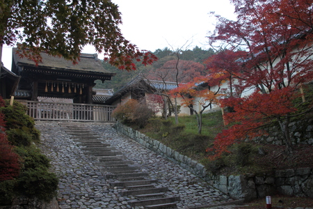 14紅葉めぐり41 毘沙門堂_e0048413_22162699.jpg