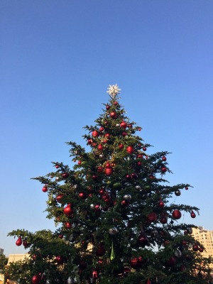 f0274713_2331721.jpg