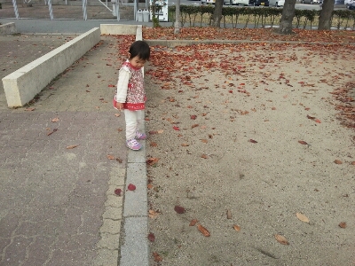 枯れ葉の季節_e0136815_8314363.jpg