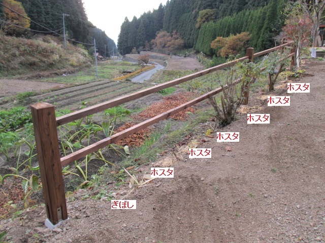 上毛から上物の干し柿がきた！　１１月２５日（火）弱雨_f0341616_07180568.jpg