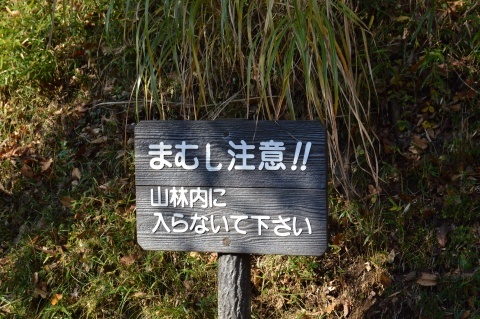 d0282219_13300291.jpg