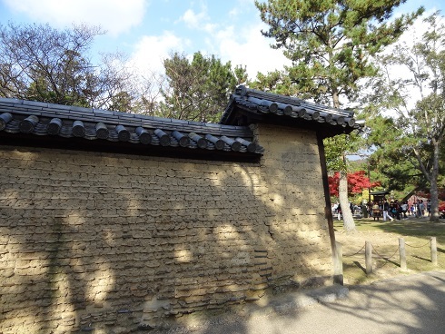 f0000521_13134875.jpg