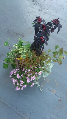 f0339422_9533035.jpg