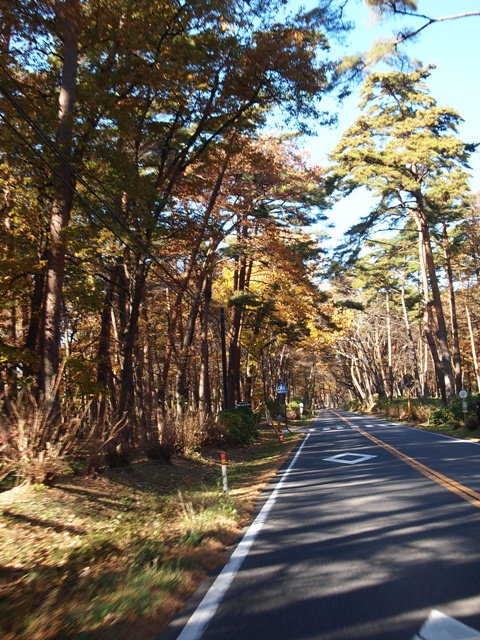 b0177323_19325689.jpg