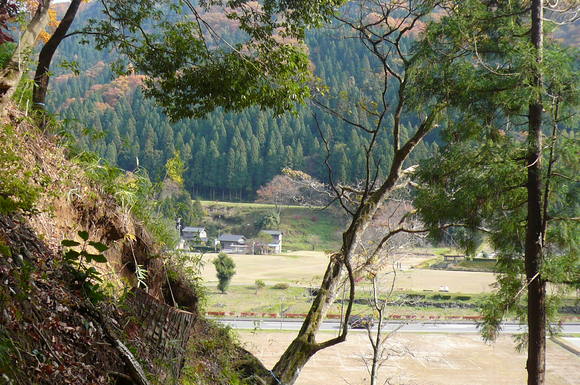d0314924_133132.jpg