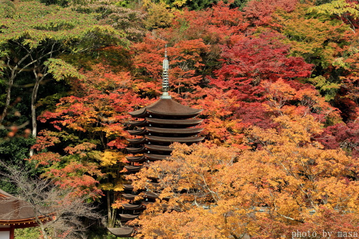 談山神社～紅葉_d0283427_15414537.jpg