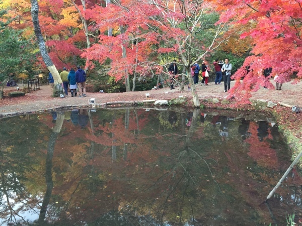 曽木公園の逆さもみじ(ライトアップなし)_b0312230_08195084.jpg