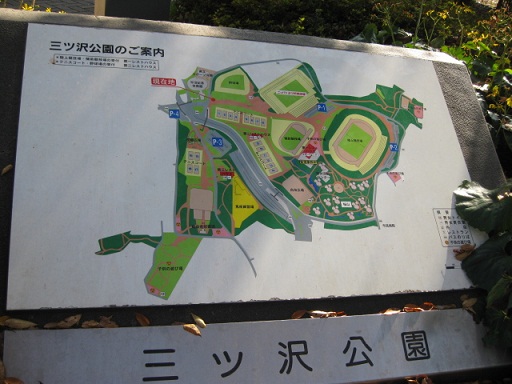c0217931_20533671.jpg