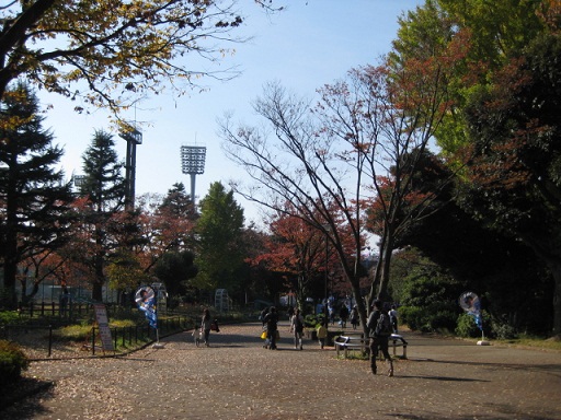 c0217931_20534279.jpg
