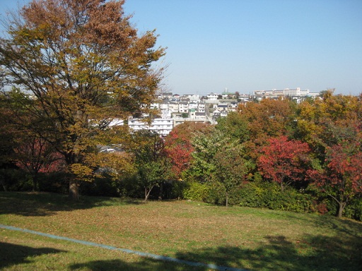 c0217931_2053548.jpg