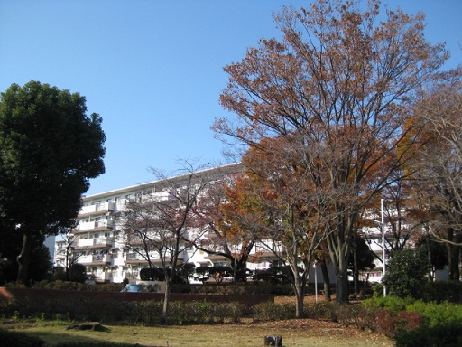 c0217931_20553110.jpg