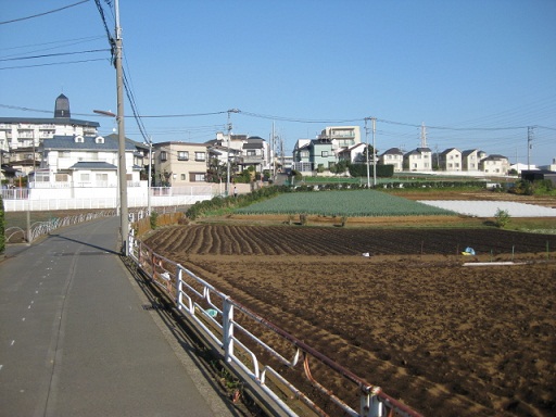 c0217931_20554686.jpg