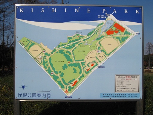 c0217931_20555560.jpg