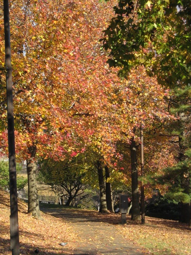 c0217931_20563042.jpg